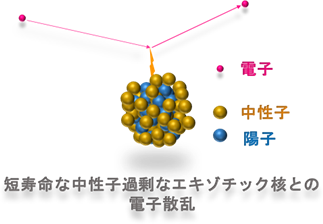 fig2_JP