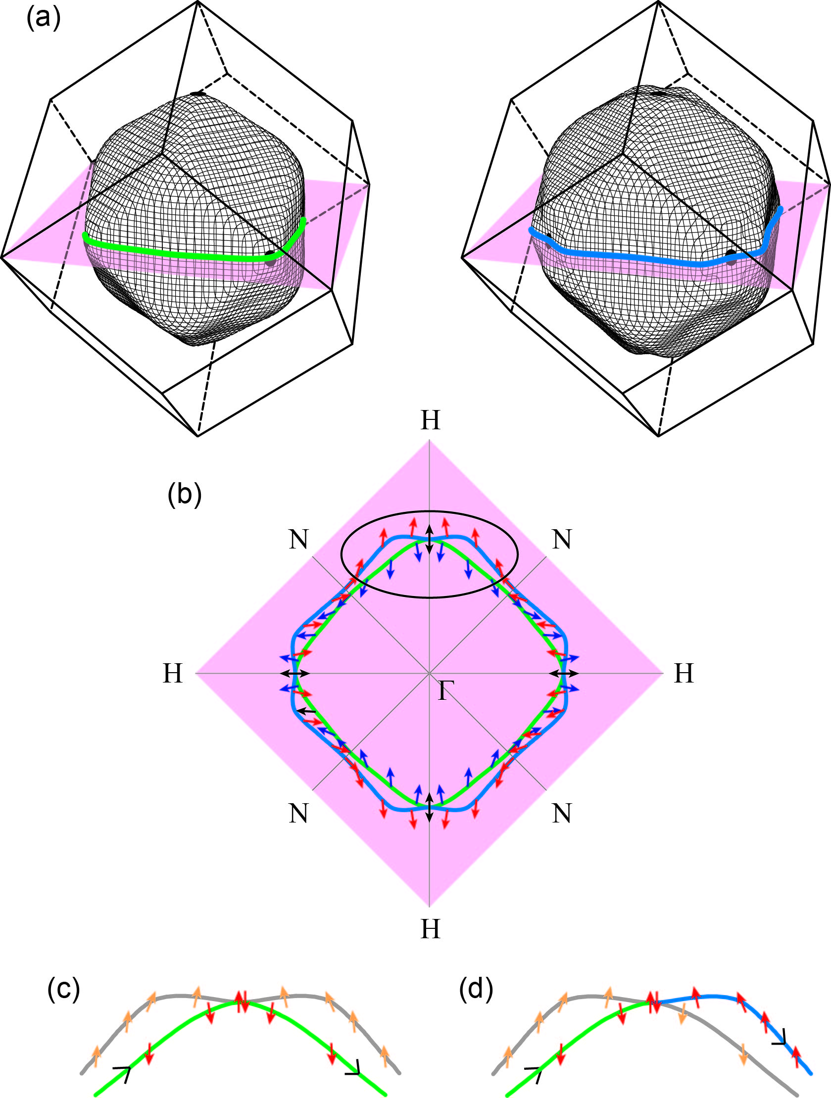 fig1