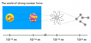 figure_nuc_eng