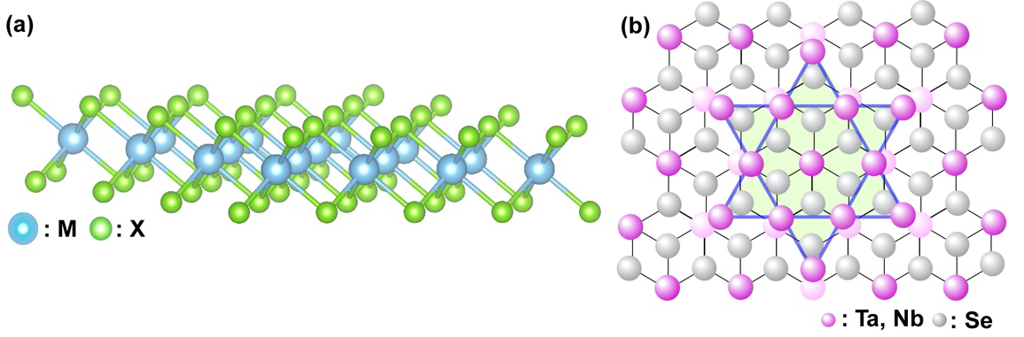 fig1