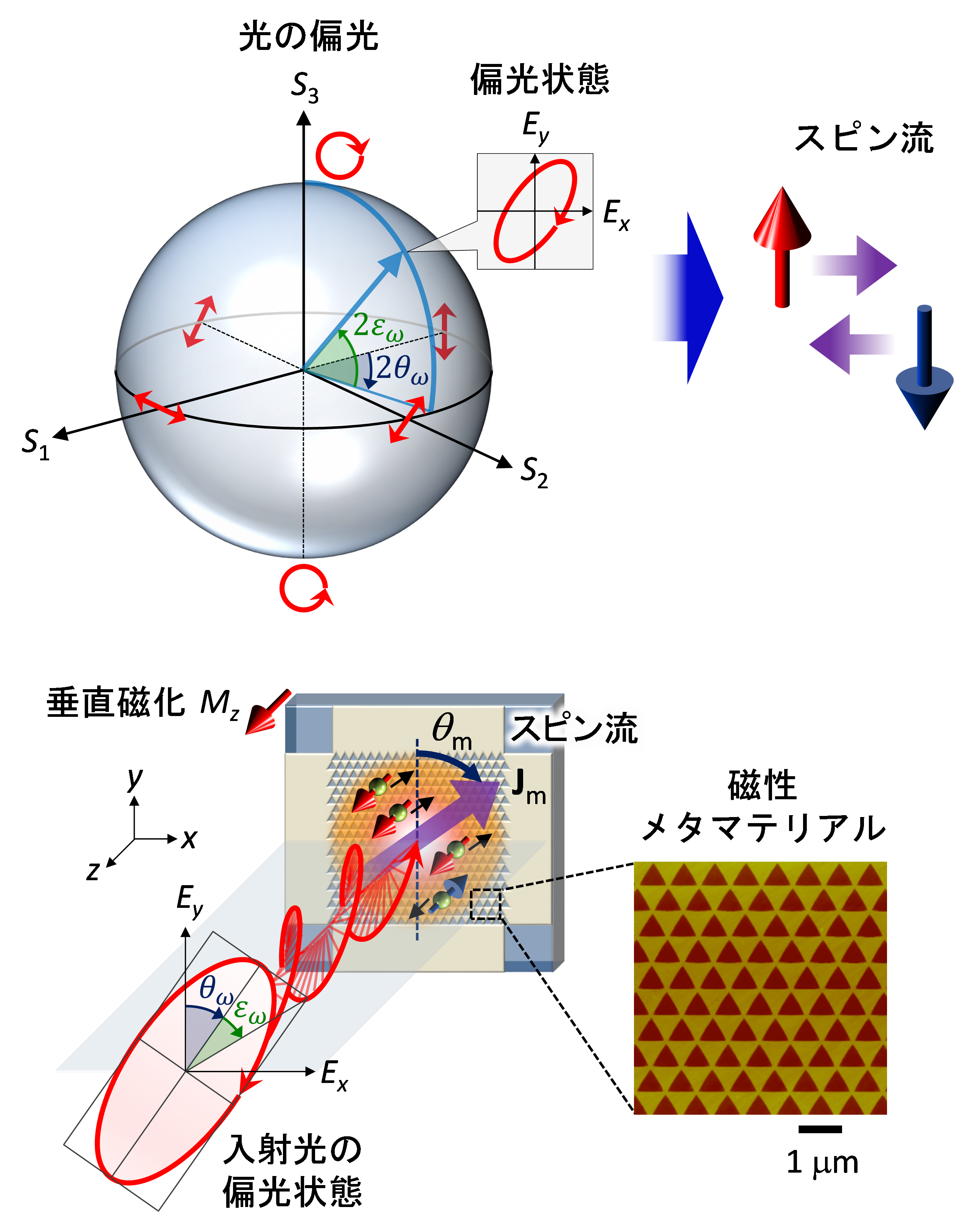 fig1