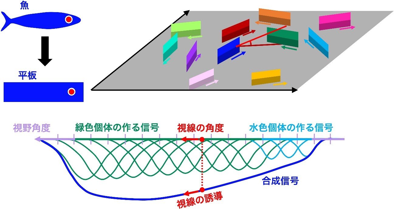 fig1