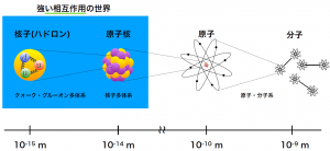 figure_nuc-300x138-1.png