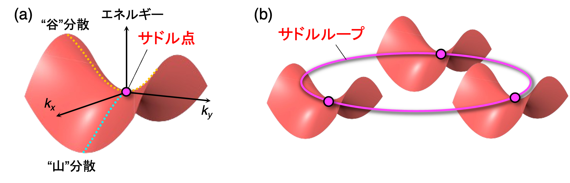 サドル点の模式図およびサドルループの模式図。